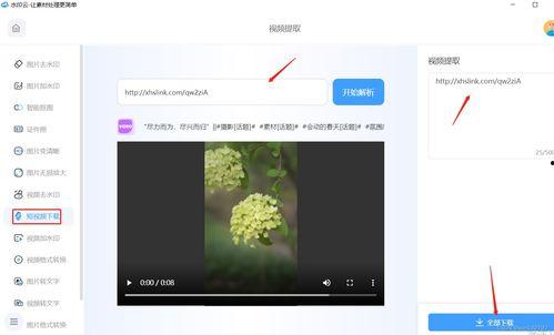 视频无水印下载,轻松保存心仪视频
